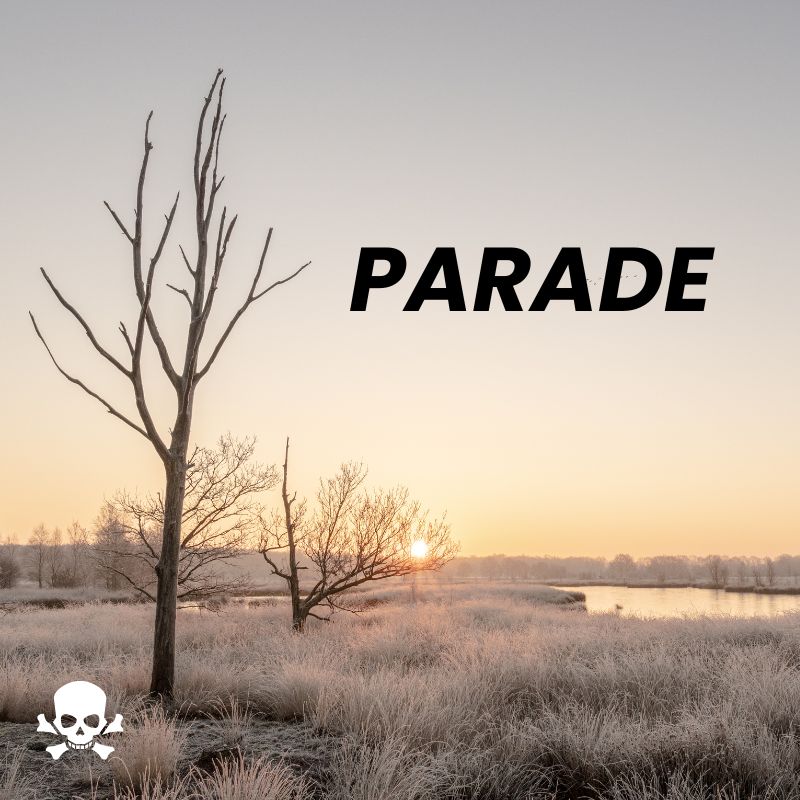 MADAGI - Parade